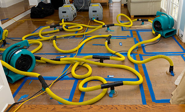 Professional Crawl Space Water Removal technician working in Brooklin, ME